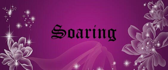 Soaring